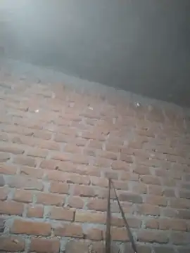 Snapshot of Hott_cutgirl chatting on 15, 12, 2025 Hott cutgirl online show from 15, 12, 2025