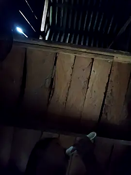 Snapshot of callistra chatting on 6, 10, 2025 callistra online show from 6, 10, 2025