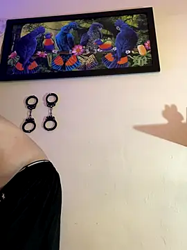 Matt your master  online show from 27, 10, 2025