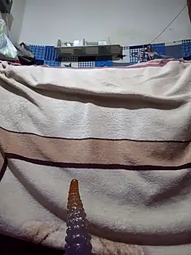 Snapshot of calntt28 chatting on 12, 2, 2026 calntt28 online show from 12, 2, 2026