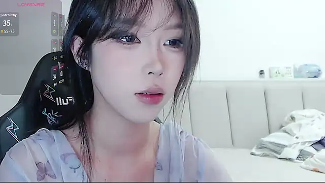 Puppy-12 online show from 15, 11, 2025