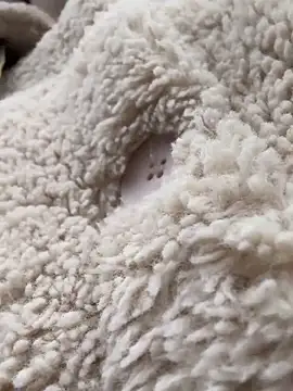 Snapshot of RonnieKiss chatting on 24, 10, 2025 RonnieKiss online show from 24, 10, 2025