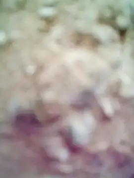 Snapshot of M-Kajal456 chatting on 4, 11, 2025 M-Kajal456 online show from 4, 11, 2025