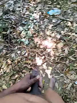 Snapshot of DICKLANKA chatting on 2, 10, 2025 DICKLANKA online show from 2, 10, 2025