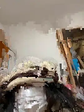 Snapshot of mino_bitter chatting on 12, 2, 2026 mino bitter online show from 12, 2, 2026