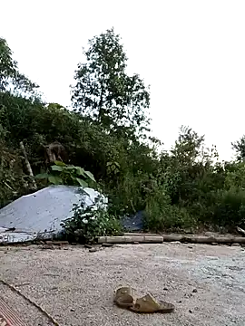 Snapshot of Suzuki_see chatting on 11, 10, 2025 Suzuki see online show from 11, 10, 2025