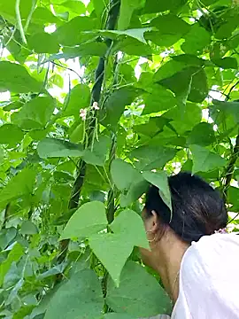 Snapshot of diamond-- chatting on 5, 10, 2025 diamond-- online show from 5, 10, 2025