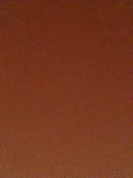 Snapshot of tiago1981pt chatting on 21, 9, 2025 tiago1981pt online show from 21, 9, 2025