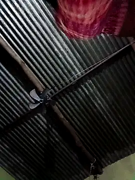 Haliya88 online show from 27, 10, 2025