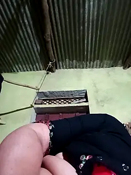 Haliya88 online show from 11, 3, 2026