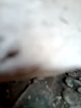 miss riya kol online show from 9, 10, 2025