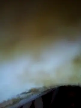 Snapshot of alone_boy802 chatting on 6, 11, 2025 alone boy802 online show from 6, 11, 2025