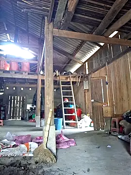 Snapshot of xuxulovezz chatting on 2, 3, 2026 xuxulovezz online show from 2, 3, 2026