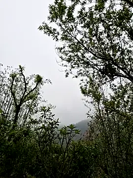 Snapshot of xuxulovezz chatting on 1, 4, 2026 xuxulovezz online show from 1, 4, 2026