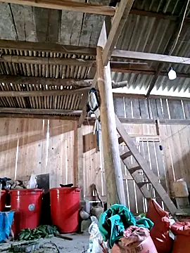 Snapshot of xuxulovezz chatting on 4, 4, 2026 xuxulovezz online show from 4, 4, 2026