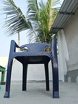 reya743 online show from 15, 2, 2026