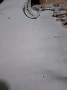 Snapshot of SALCEDO_041198 chatting on 11, 10, 2025 SALCEDO 041198 online show from 11, 10, 2025