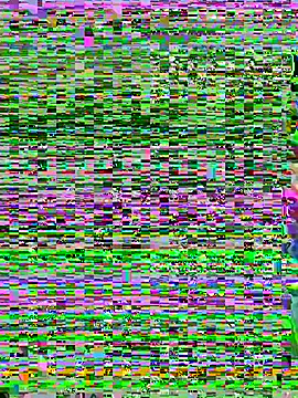 Snapshot of aoyo66 chatting on 5, 11, 2025 aoyo66 online show from 5, 11, 2025