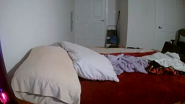 Buggy1965 online show from 2, 4, 2026