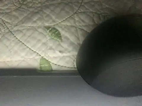 Snapshot of paula19800 chatting on 3, 10, 2025 paula19800 online show from 3, 10, 2025