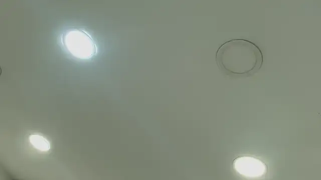 Evelyn brown8 online show from 4, 11, 2025