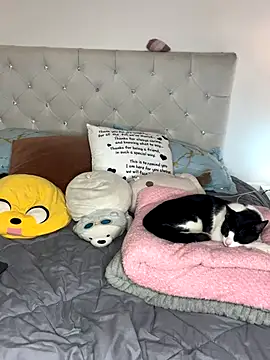 sunnymoonn 1 online show from 2, 10, 2025