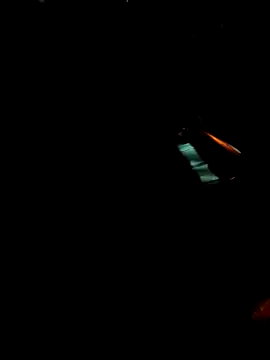 Gigolo31per31 online show from 18, 10, 2025