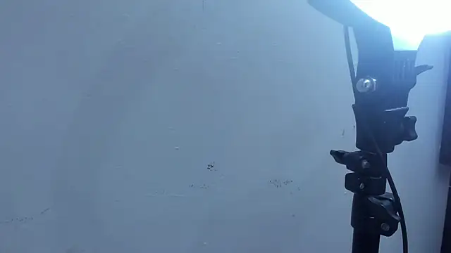 Kevinfox23cms online show from 11, 11, 2025