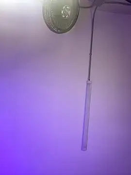 Snapshot of ChloeRosses chatting on 6, 3, 2026 ChloeRosses online show from 6, 3, 2026