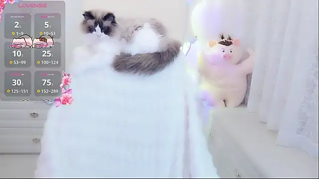 Coco-Di online show from 9, 5, 2026