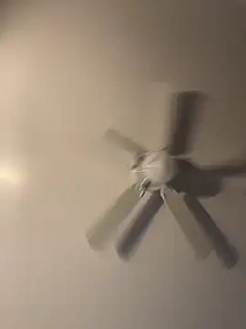 pmonie online show from 16, 11, 2025