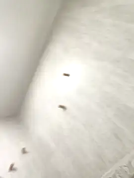 sebas sexo goloso online show from 13, 11, 2025