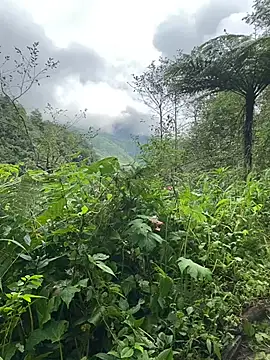 Penny39 online show from 9, 10, 2025