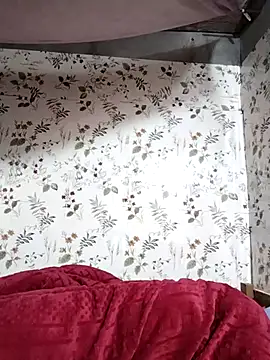 Snapshot of zhen-zo chatting on 25, 11, 2025 zhen-zo online show from 25, 11, 2025