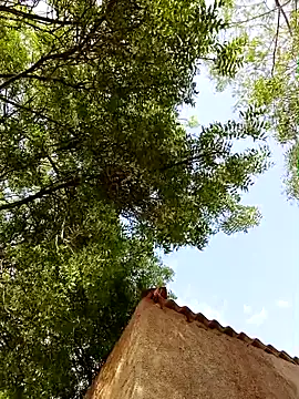 Rs sonam online show from 8, 4, 2026