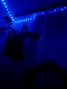 Taylor Sex6 online show from 12, 2, 2026