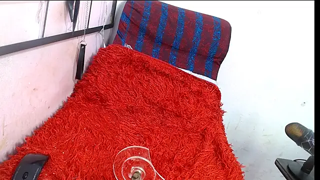 codorniz2025 online show from 8, 1, 2026