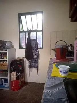 Arisbet333 online show from 4, 11, 2025