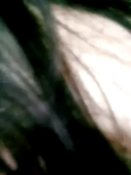 Snapshot of Apeesynka55211 chatting on 9, 4, 2026 Apeesynka55211 online show from 9, 4, 2026