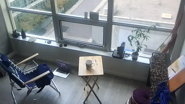 tia   fox online show from 29, 10, 2025