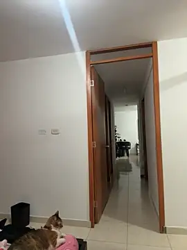 Snapshot of violeticafox chatting on 21, 12, 2025 violeticafox online show from 21, 12, 2025