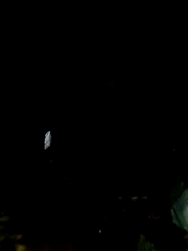 mntzz88 online show from 1, 11, 2025