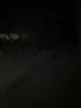 siru-love online show from 8, 11, 2025