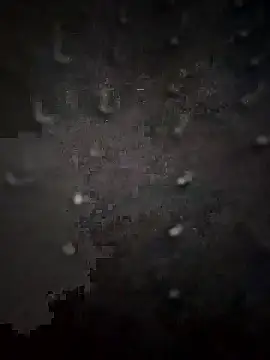 PEEHU-50 online show from 13, 1, 2026