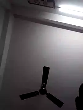 amanWildstalion online show from 1, 11, 2025