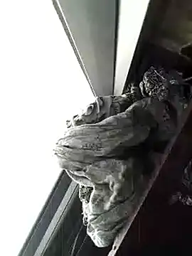 amanWildstalion online show from 8, 11, 2025