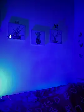 Snapshot of Solaangel_ chatting on 17, 12, 2025 Solaangel online show from 17, 12, 2025