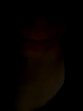 pleasedontpressaredburton online show from 14, 11, 2025