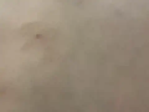 Snapshot of pleasedontpressaredburton chatting on 28, 2, 2026 pleasedontpressaredburton online show from 28, 2, 2026