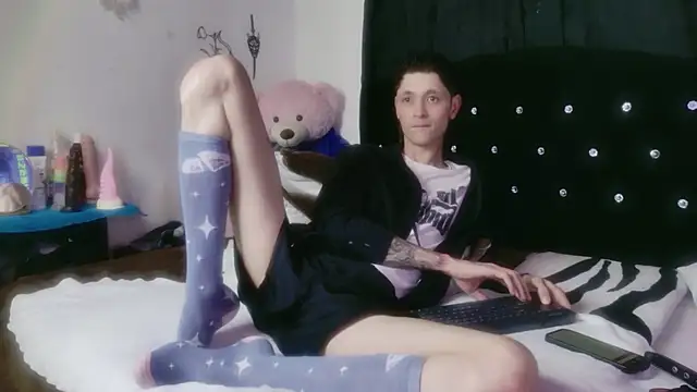 Tyler cat online show from 28, 2, 2026